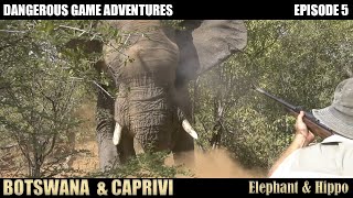 Elephant nearly killed us Hunting in Botswana [upl. by Strong253]