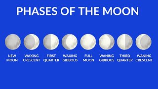 Phases of the Moon  Understanding Moon Phases  Video for kids [upl. by Irme]