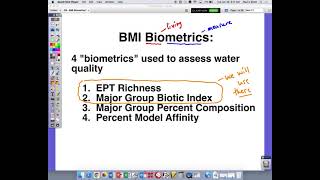 What is Major Group Biotic Index [upl. by Octavian944]