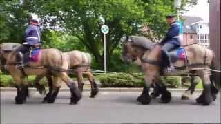 KrefeldLinn Schützenfest 2015 [upl. by Rizika]