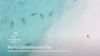 Celebrating World Environment Day 2021  Veligandu Island Resort amp Spa  Maldives [upl. by Lumbye]