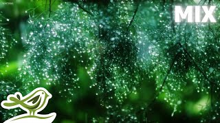 Beautiful Piano Music Mix with Rain Sounds • Relaxing Music by Peder B Helland [upl. by Mohammad]