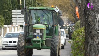 El consejero de Agricultura urge a la entrada en vigor de las medidas adoptadas [upl. by Atwater]