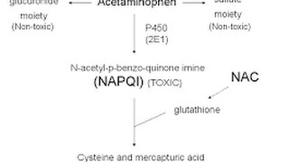 Acetaminophen Toxicity  Poisoning [upl. by Ais]