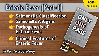 Enteric fever part1  Typhoid  Salmonella Typhi amp Paratyphi  Pathogenesis  Clinical features [upl. by Dralliw]