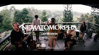 Fourtwnty  Nematomorpha Live Session [upl. by Ahselat149]