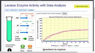 Lactase Enzyme Activity with Data Analysis Simulation [upl. by Tezile61]