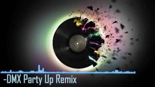 DMX Party Up  Remix [upl. by Dnarb]