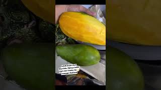 Mangga thailand shorts sorotan jangkauanluas [upl. by Ahsyen246]