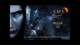 06 Kali  Pauza prod PSR [upl. by Irallih268]