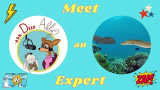 Meet An Animal Expert  Donny Eel and Evelyn Eel  Ask Deer Abby [upl. by Ressan]