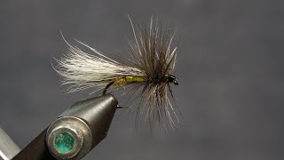 Stonefly Adult Fling amp Puterbaugh 1230 [upl. by Burrow]