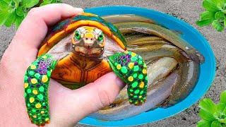 Amazing Catching Strange Colored Ornamental Catfish Turtle Pastel Black crocodile guppiescatfish [upl. by Tnirb]