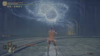 Elden Ring  Rellana Twin Moon Knight No Damage Melee OnlyNo Scadutree Blessing [upl. by Roma164]