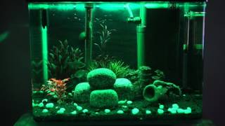 Juwel vio 40 Aquarium [upl. by Mercuri390]