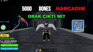 5000 KEMİK HARCARSAK NOLUR  ROBLOX BLOX FRUİT [upl. by Aicenert]