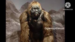 Gigantopithecus sounds [upl. by Yhcir]