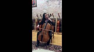 Thomastik Versum Solo Strings vs Larsons and Spirocores Feat Rebecca Zimmerman [upl. by Olva]