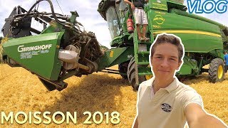 LA MOISSON DORGE A COMMENCÉ  VLOG [upl. by Wyler]