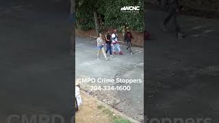 Homeless man attacked police looking for suspects [upl. by Naruq917]