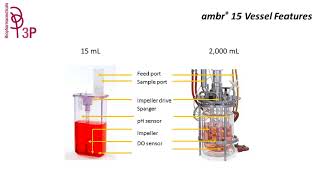 Webinar 3P Biopharmaceuticals and Sartorius quotambr15 for cell culture process optimizationquot [upl. by Niklaus]