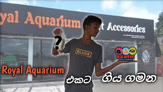 ‍රෝයල් මින්මැදුර සොයා ගිය ගමනExploring The Royal Aquarium In Sinhala  Unbelievable Journey😱 [upl. by Prober]