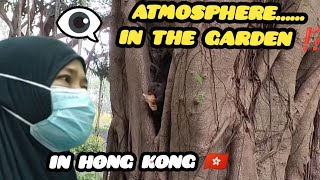 Vlog tkw Hong Kong  Bring my little boss to the garden [upl. by Nnor143]