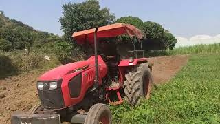 Kubota mu5502 with 16inch plough performance on farm [upl. by Erolyat165]