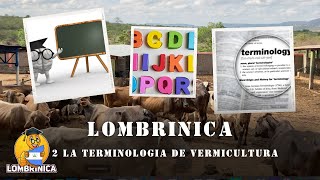 2 Terminologia de Vermicultura [upl. by Loni]