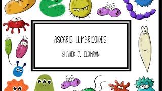 Ascaris Lumbricoides [upl. by Ellehcor939]