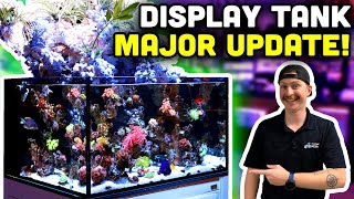 Waterfall Reef Tank Update Mangroves New Corals and MORE [upl. by Reisch]