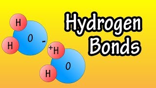 Hydrogen Bonds  What Are Hydrogen Bonds  How Do Hydrogen Bonds Form [upl. by Atirehgram]