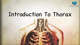 Introduction to the Thorax Key Bony Landmarks Explained [upl. by Isteb]