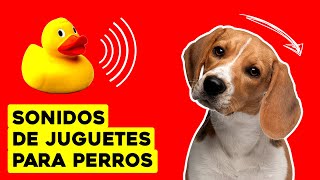 Sonidos de Juguetes para Perros Dog Squeaky Toy [upl. by Aremaj]