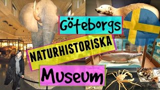 Göteborg Natural History Museum in Sweden  SWEDEN  Vlog06 [upl. by Sebastiano311]