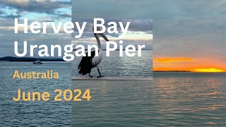 Hervey Bay  Urangan Pier  Queensland  Australia 4K [upl. by Leffen405]