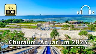 Churaumi Aquarium 2023 Walking Tour  Okinawa Japan 4KHDRBinaural [upl. by Shaughn]