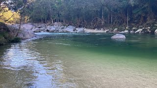 A Quick Look at Mossman gorge [upl. by Grimona814]