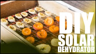 How To Make DIY SOLAR DEHYDRATOR  Dehydrator Design For Small Spaces [upl. by Ecitnirp349]