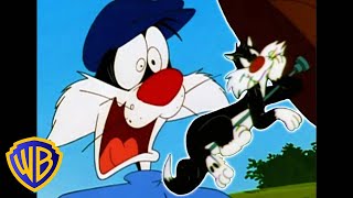 Looney Tunes en Français 🇫🇷  Les Meilleurs Moments de Sylvestre  WBKidsFrancais [upl. by Allisirp165]