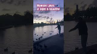 Mawson Lakes at night is very so beautiful suburb of south Adelaideenjoy and relax with families [upl. by Ajiak]