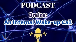 Brain An Internal Wakeup Call [upl. by Ori]