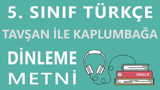 Tavşan ile Kaplumbağa Dinleme Metni  5 Sınıf Türkçe Anıttepe Yayıncılık [upl. by Winikka]