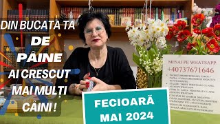 FECIOARA MAI 2024🌹40737671646 WhatsApp🔮DIN BUCATA TA DE PÂINE AI CRESCUT MAI MULȚI CÂINI⚠️ [upl. by Symons529]