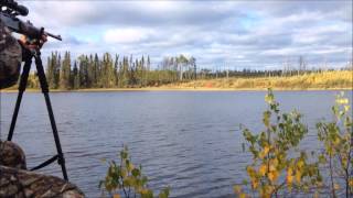 Amik Outposts 2014 Flyin Moose Hunt [upl. by Acinoda243]