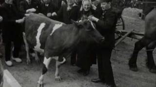 24 TRADITIONELE BOERENBRUILOFT DENEKAMP1960 [upl. by Nassah]