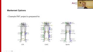 From Qualisys motion capture to AnyBody musculoskeletal analysis [upl. by Ylrae]