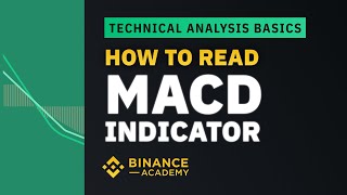 How to Read MACD Indicator ｜Explained For Beginners [upl. by Lissner]