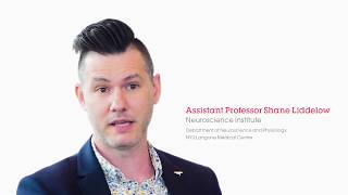 The role of astrocytes in Alzheimers disease  Professor Shane Liddelow [upl. by Abebi]