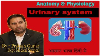 Function of kidney overview of renal function part 2 [upl. by Eeraj]